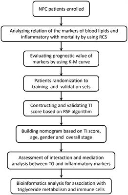 Triglyceride-inflammation score established on account of random survival forest for predicting survival in patients with nasopharyngeal carcinoma: a retrospective study